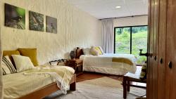 Musguerito de Paramo (6) - King + Sencilla